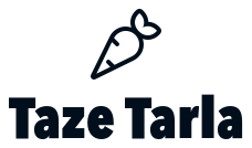 Taze Tarla